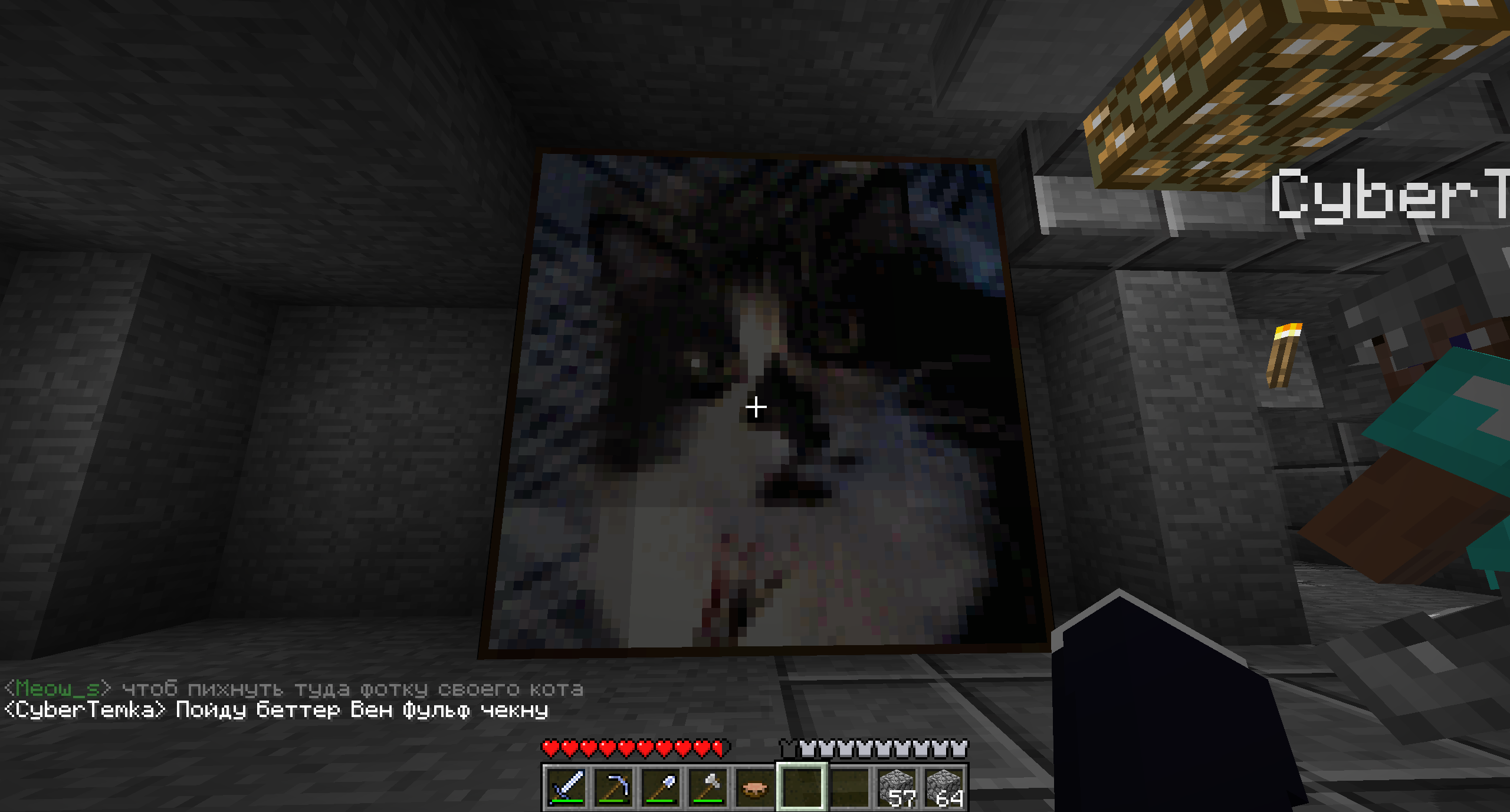коти :3